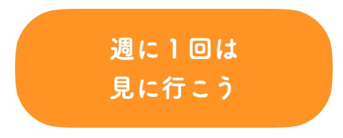 マイホームブルーはこれで回避 工事編 家を建てよう マスオの間取り マスオのブログ